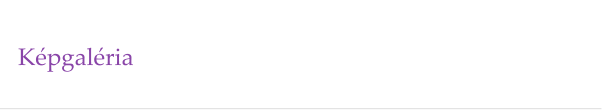 Képgaléria